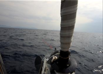 Bay of Naples - Dolphin at the bow