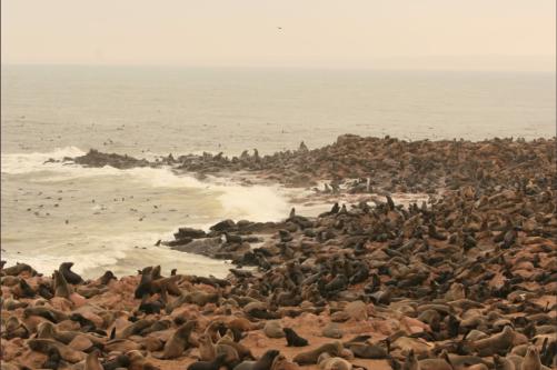 by far too many to count