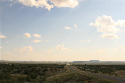 lush greens and very healy all around