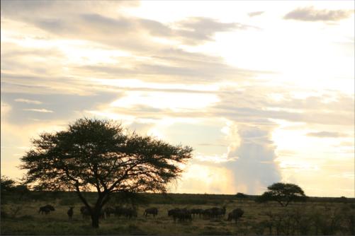afternoon atmosphere with some rainfalls in the back