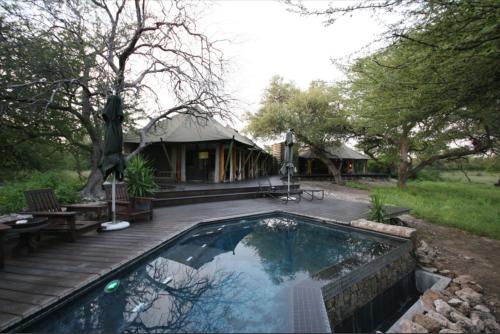 the dining and pool area