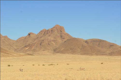 view from the lodge bar